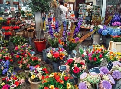 農(nóng)村創(chuàng)業(yè)新機遇 小作坊代加工項目探索，兼論禮品花卉銷售